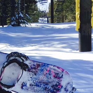 Meet your Posher, Carol