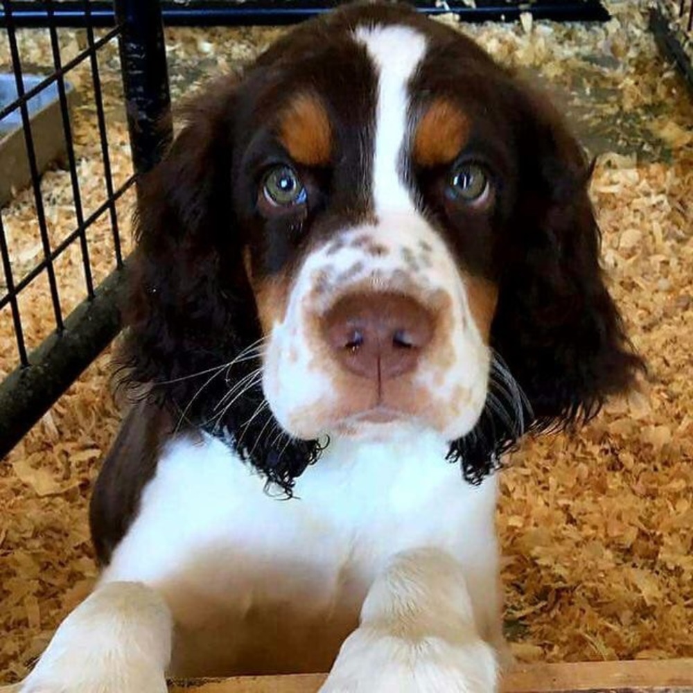 Meet your Posher, Madison