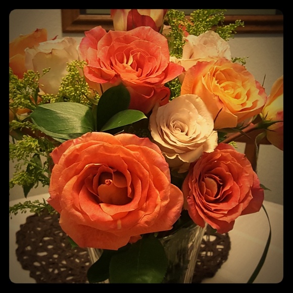 Meet your Posher, Renee - Picture 1 of 1