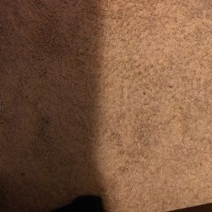 Meet your Posher, Nina