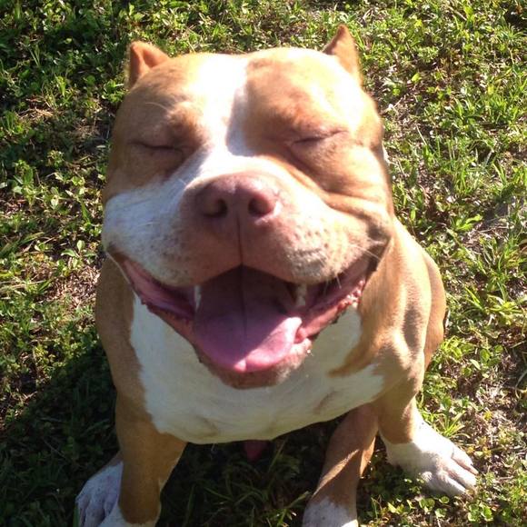 Meet your Posher, Nichole - Picture 1 of 8