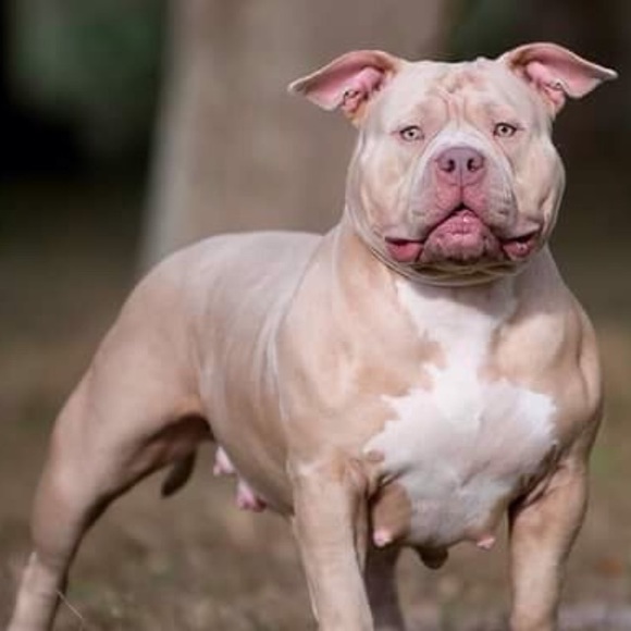 Meet your Posher, Nichole - Picture 2 of 8