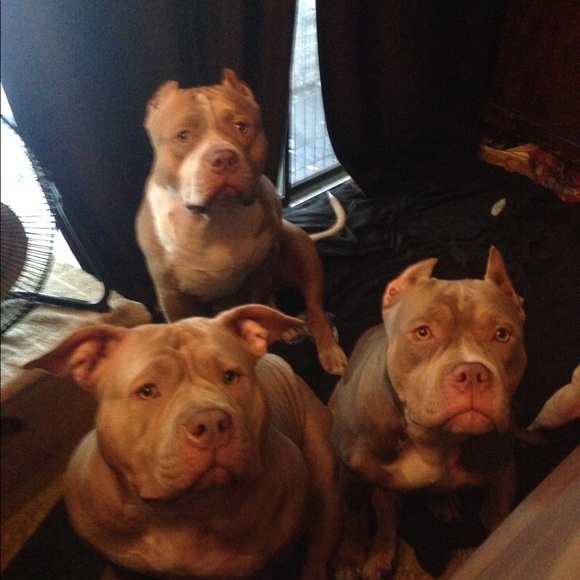 Meet your Posher, Nichole - Picture 4 of 8