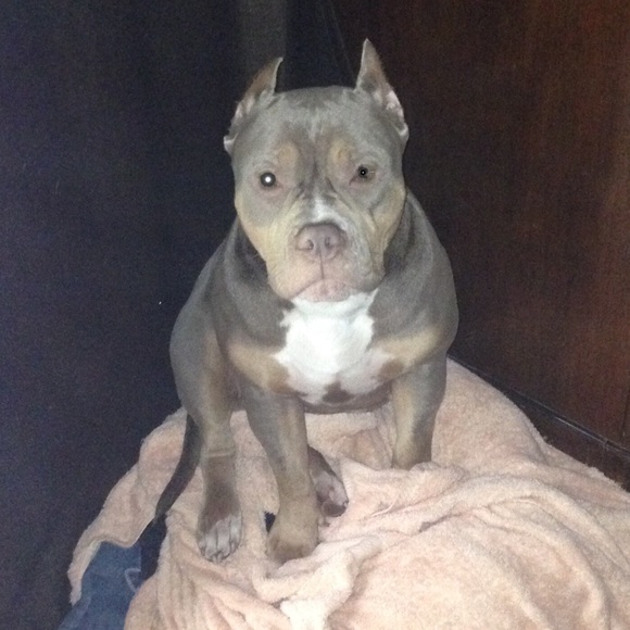 Meet your Posher, Nichole - Picture 7 of 8