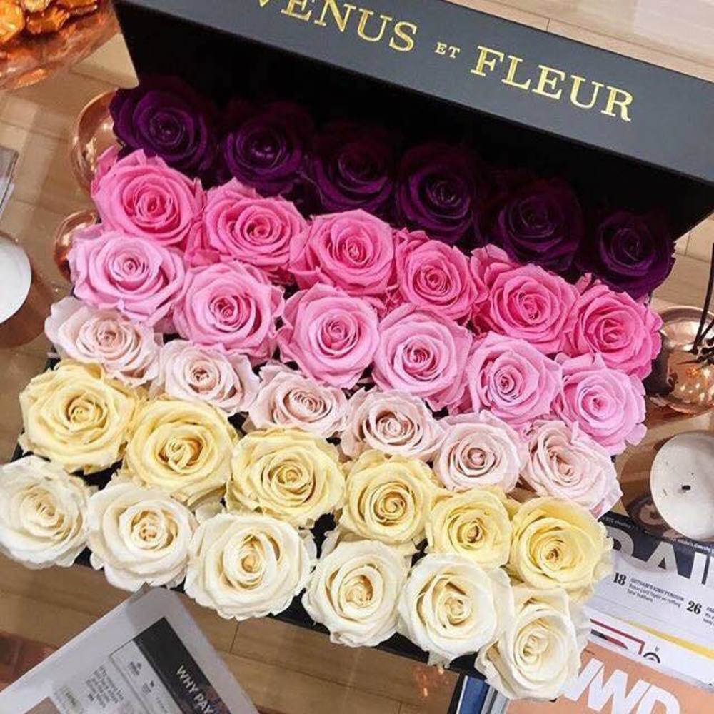 Meet your Posher, Lorraine