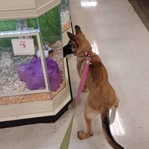 Meet your Posher, Efrem