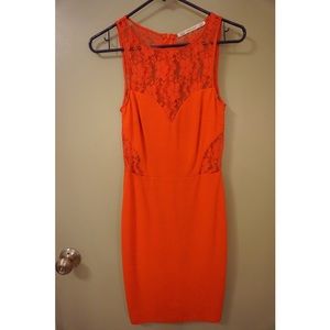 Zara Trafaluc Red Lace Dress
