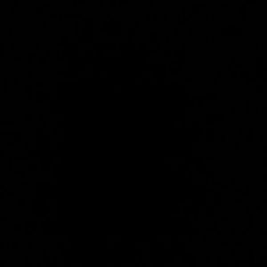 Meet your Posher, Dina