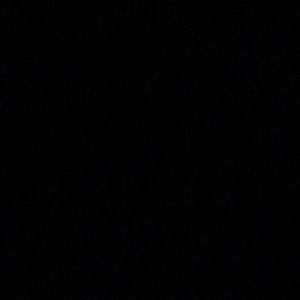 Meet your Posher, Travis