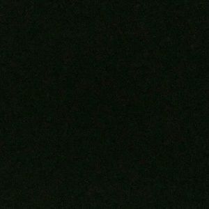 Meet your Posher, Shelly