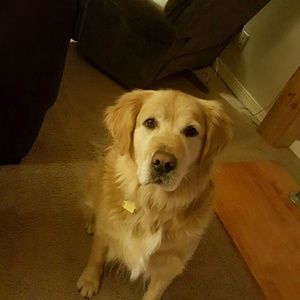 Meet your Posher, Rylan