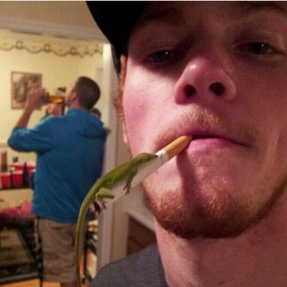 Meet your Posher, Trevor