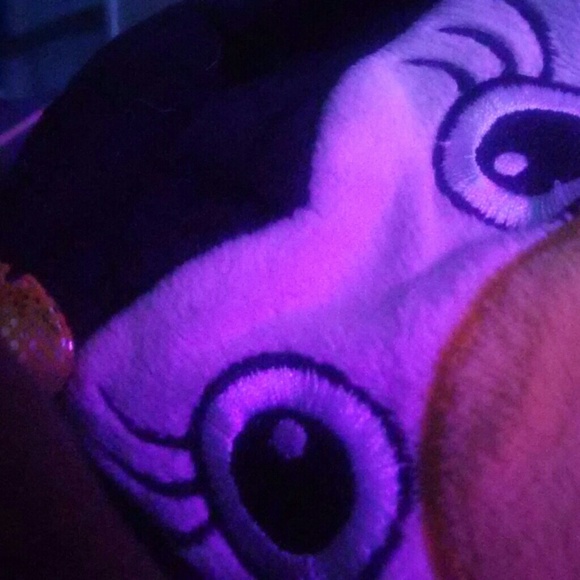 Meet your Posher, Bobbie - Picture 1 of 1