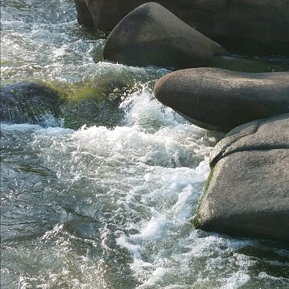 Meet your Posher, Becky - Picture 2 of 2