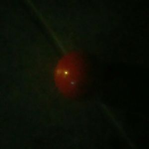 Meet your Posher, Lance