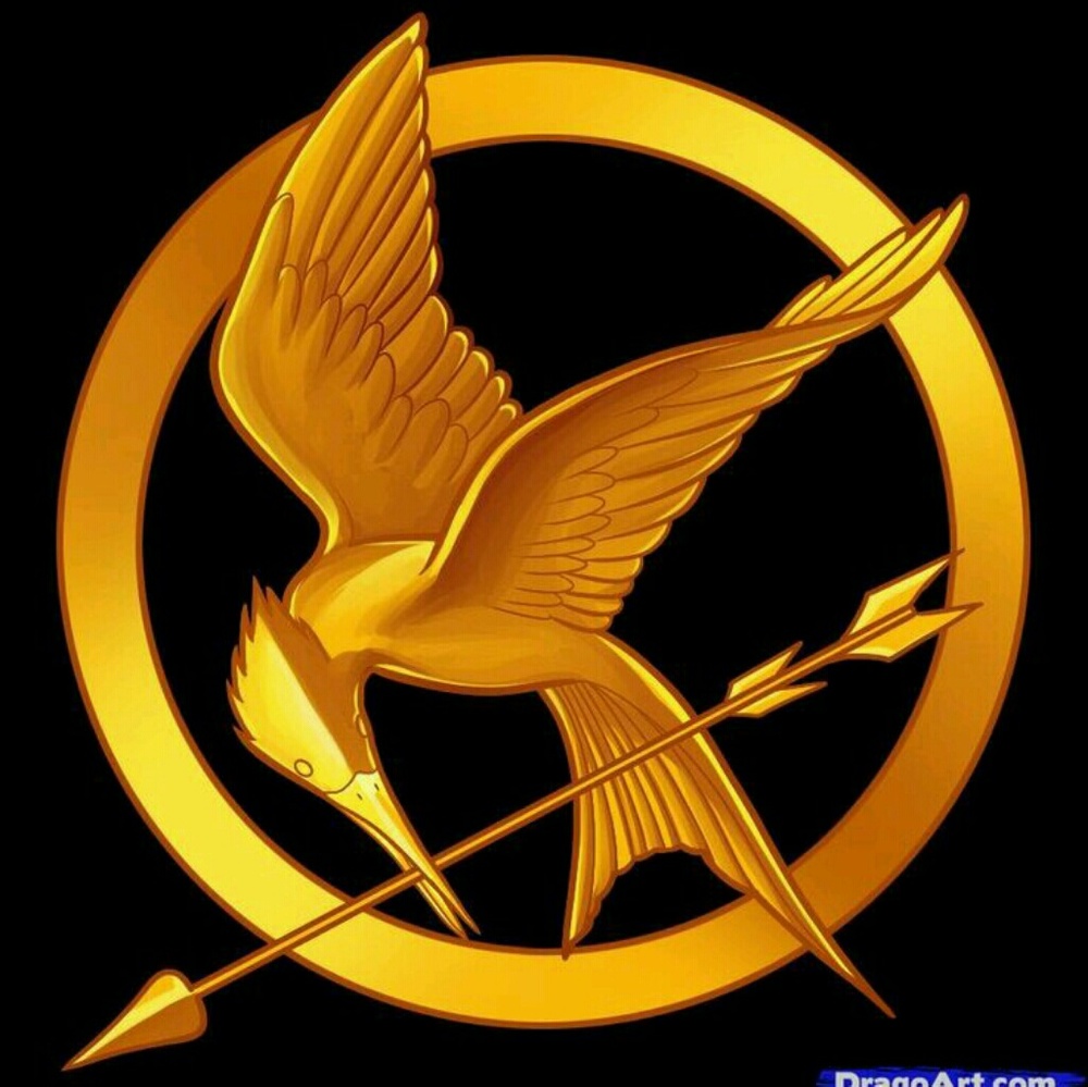 Meet your Posher, Amelia