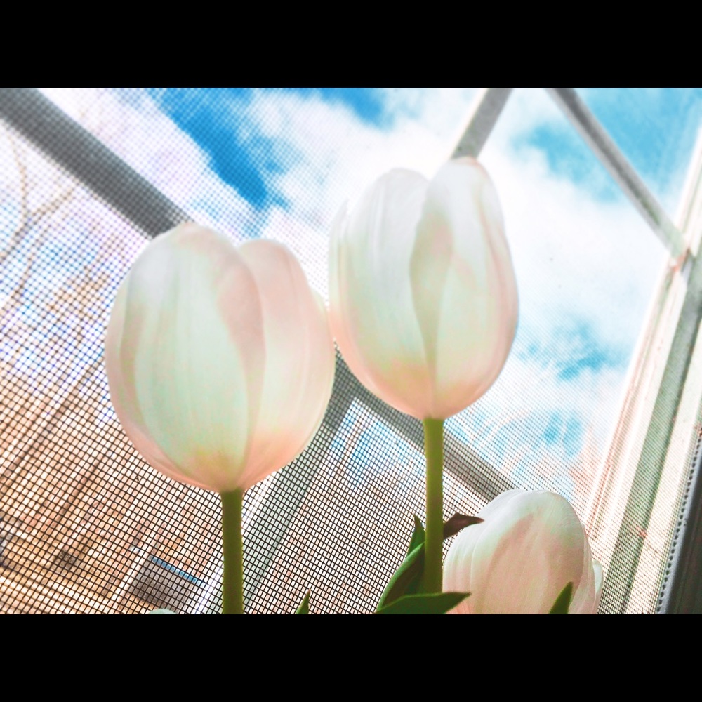 Meet your Posher, Kazue