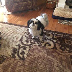 Meet your Posher, Vicky