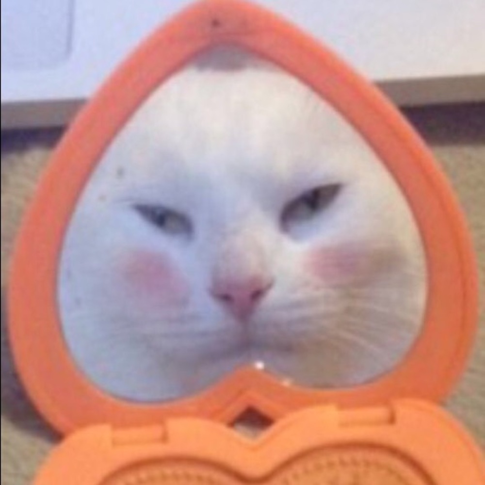 Meet your Posher, Brenna