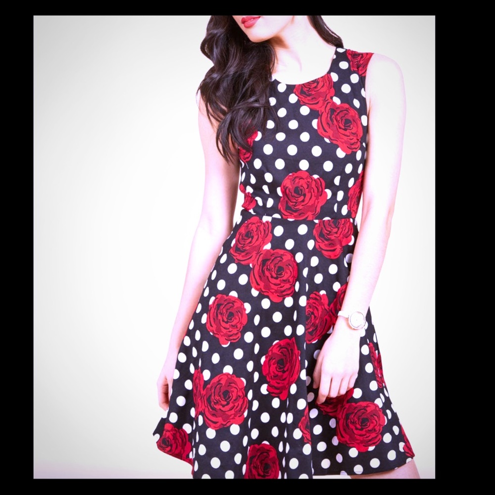 Flattery A-Line Dress NWT