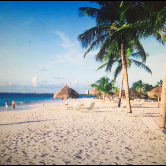 Meet your Posher, Kiley - Picture 1 of 1