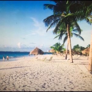 Meet your Posher, Kiley