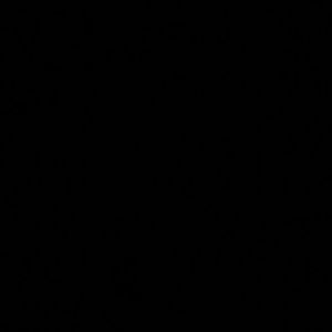 Meet your Posher, Lashay