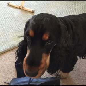 Meet your Posher, Carol jean