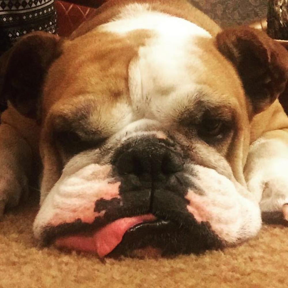 Meet your Posher, Alexis