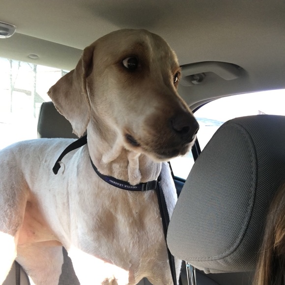 Meet your Posher, Kristin - Picture 2 of 2