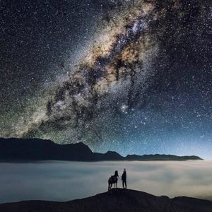 Meet your Posher, Otis