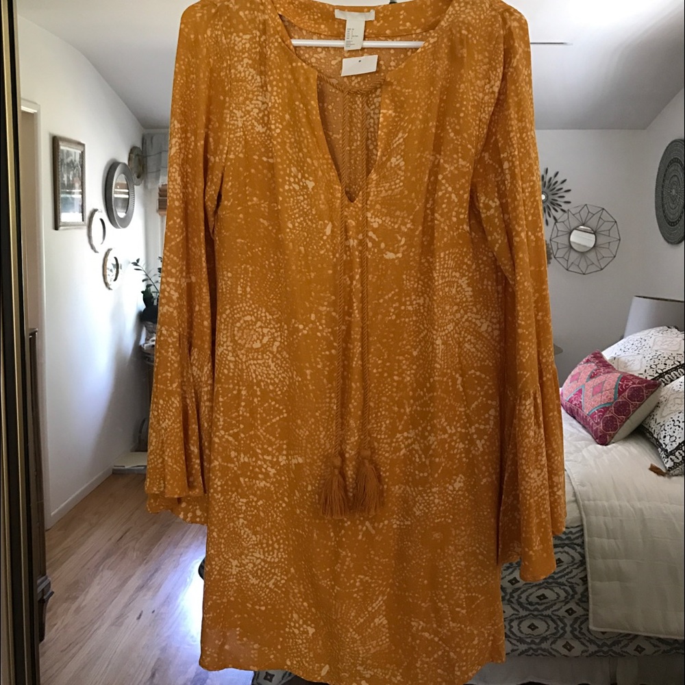 H&M Bell Sleeve Dress