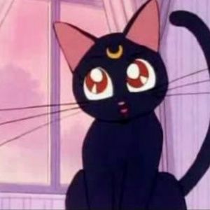 Pin Buddle for @crazydiamond713