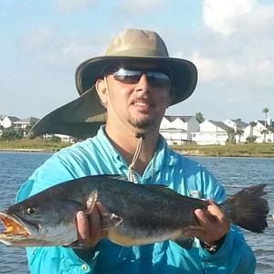 Meet your Posher, Ron