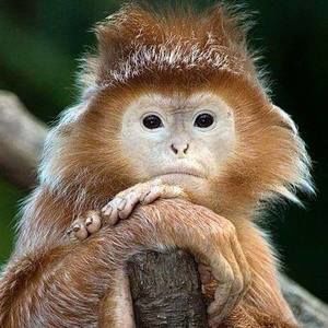 Meet your Posher, Regina