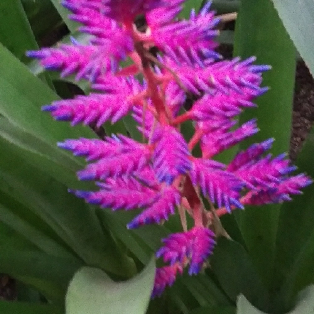 Meet your Posher, Peggy