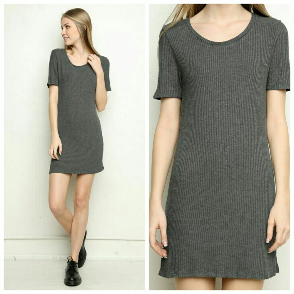 NWOT Brandy Melville Emily Gray Ribbed Dress