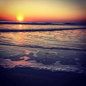 Meet your Posher, Judith