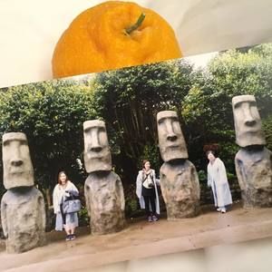 Meet your Posher, Haeun