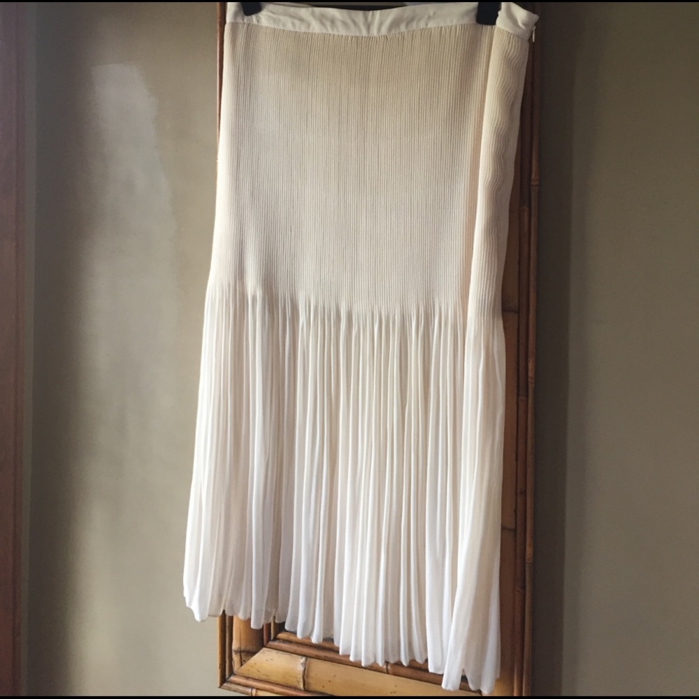 *NWT* Beautiful Pleated Skirt
