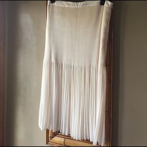 *NWT* Beautiful Pleated Skirt