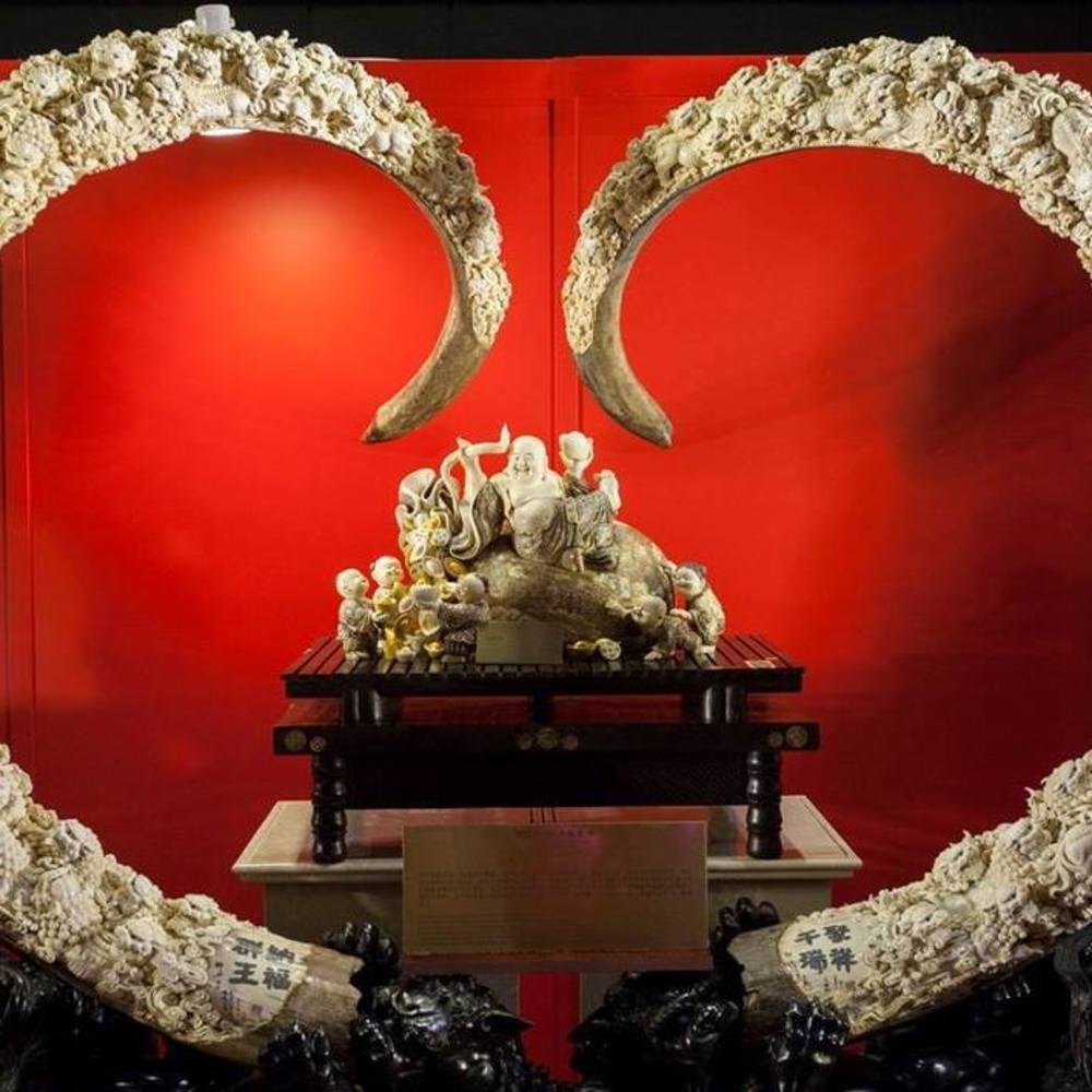 Meet your Posher, Billy