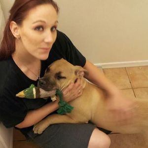 Meet your Posher, Britanya