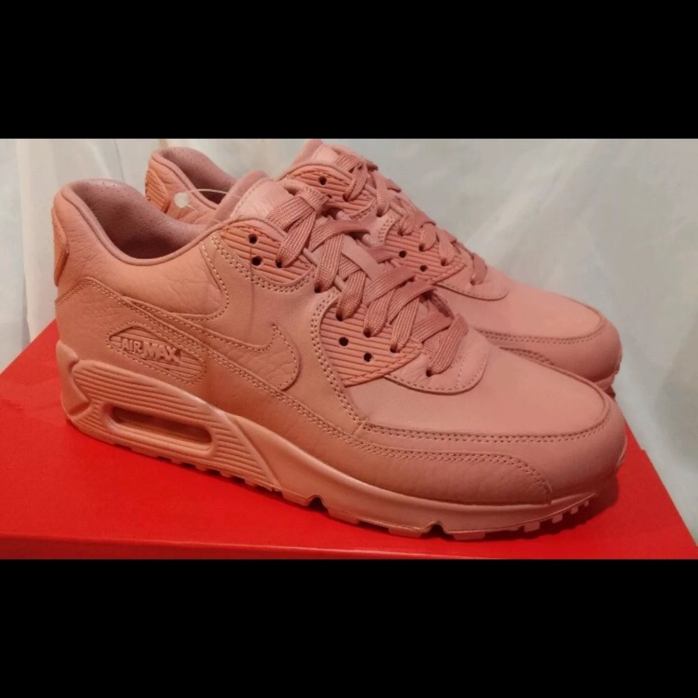 Women's Air Max 90 Pinnacle Size 6 1/2