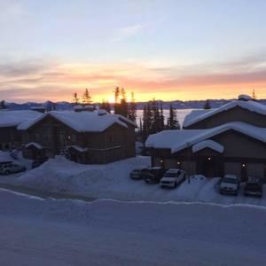 Meet your Posher, Lisa-ann