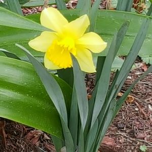 Meet your Posher, Pam