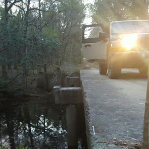 Meet your Posher, Morgan