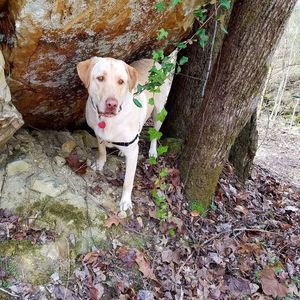 Meet your Posher, Michelle lee