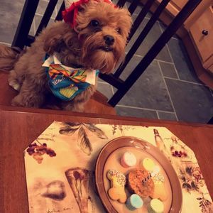 Meet your Posher, Christine