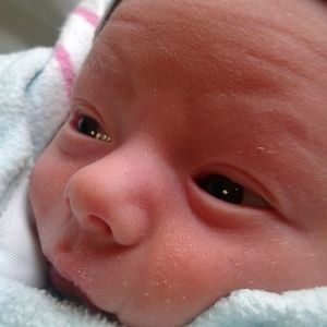 Meet your Posher, Shania